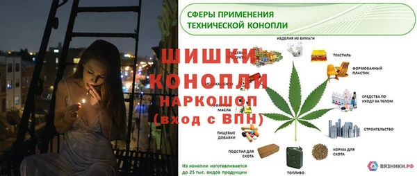 гидра Алексин