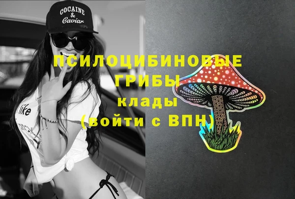 гидра Алексин