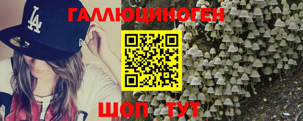 Заволжье  Псилоцибиновые грибы GOLDEN TEACHER  Вход с VPN 