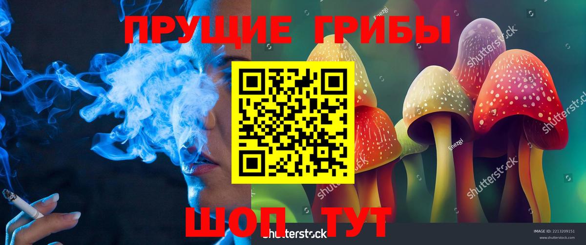 Галлюциногенные грибы Magic Shrooms Заволжье